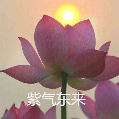 “这是一个死亡内阁” 以抗议者国防部外与警方对峙